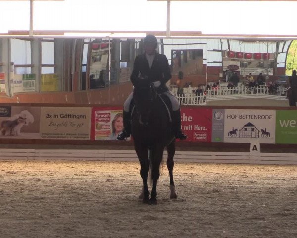 Reitturnier Hof Bettenrode 2019