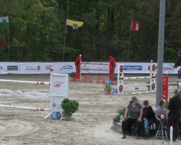 Reitturnier Neunkirchen-City 2019