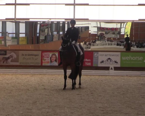 Reitturnier Hof Bettenrode 2019