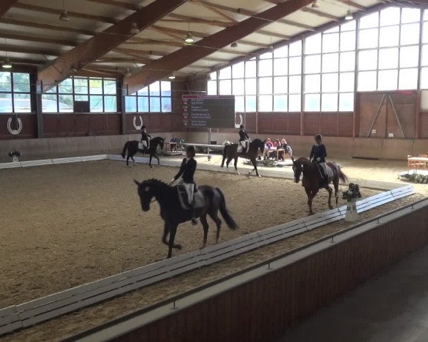 Reitturnier Köln-Leverkusen 2019
