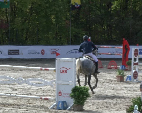 Reitturnier Neunkirchen-City 2019