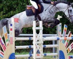 jumper Sirene des Cresles (Selle Français, 2006, from VDL Cardento 933)