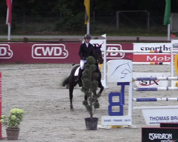 Reitturnier Westergellersen 2021
