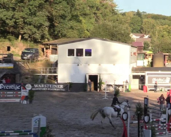 Reitturnier Siegen 2019