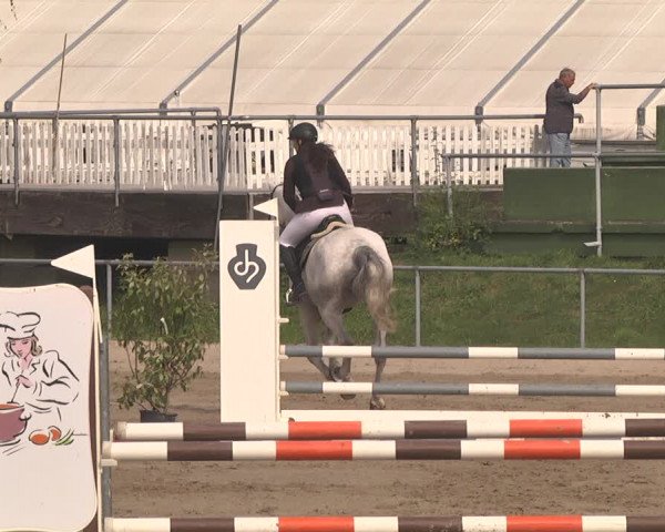 Reitturnier Pforzheim 2019