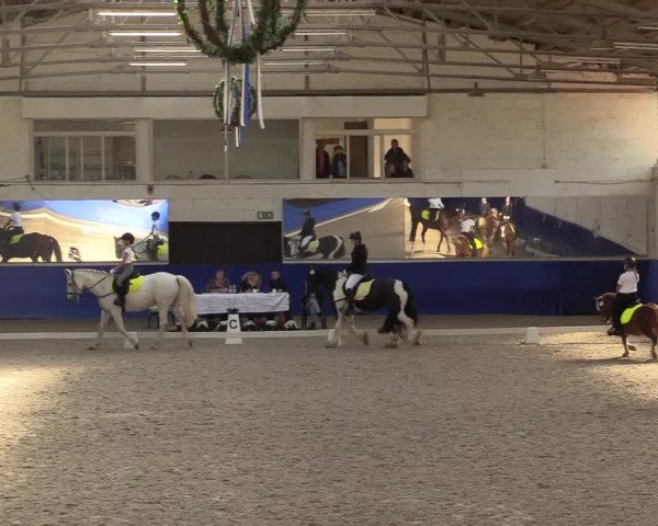 Reitturnier Pforzheim 2019