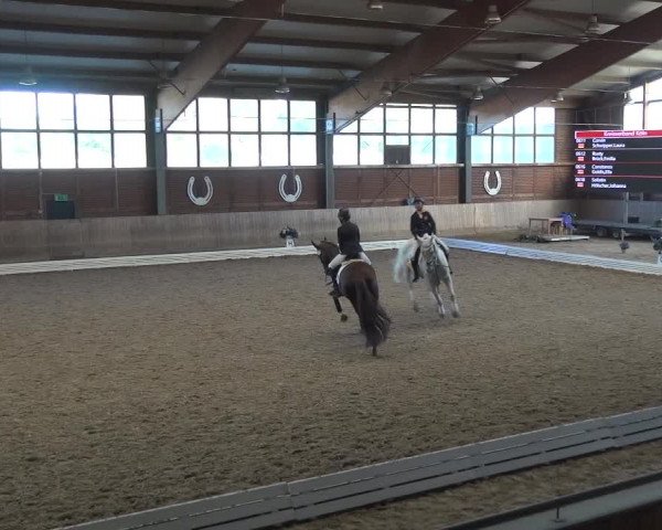 Reitturnier Köln-Leverkusen 2019