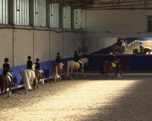 Reitturnier Pforzheim 2019