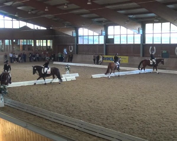 Reitturnier Köln-Leverkusen 2019