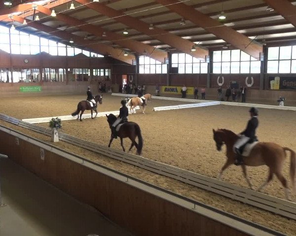 Reitturnier Köln-Leverkusen 2019