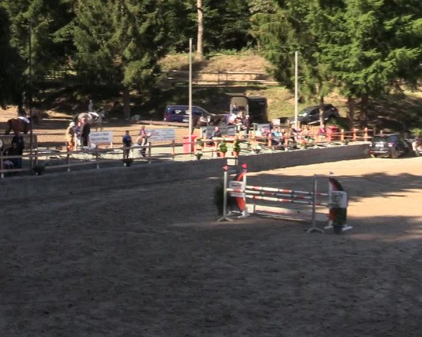 Reitturnier Siegen 2019