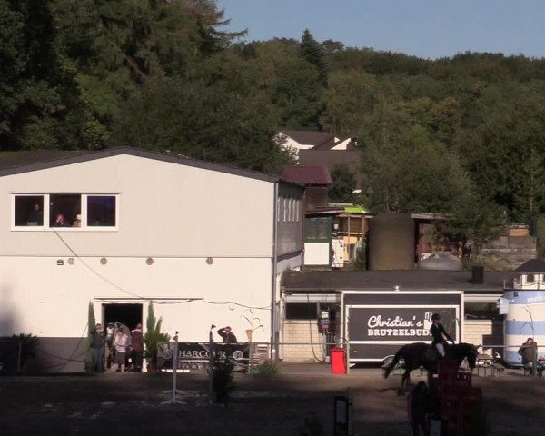 Reitturnier Siegen 2019