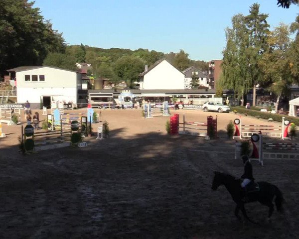 Reitturnier Siegen 2019