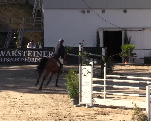 Reitturnier Siegen 2019