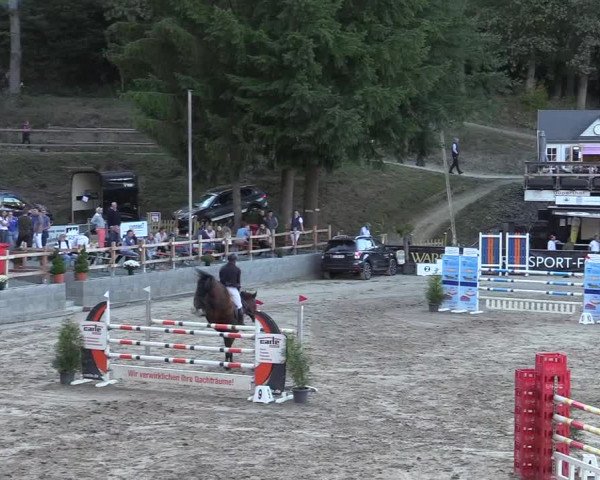 Reitturnier Siegen 2019