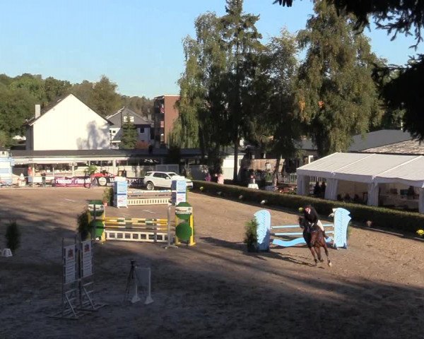 Reitturnier Siegen 2019