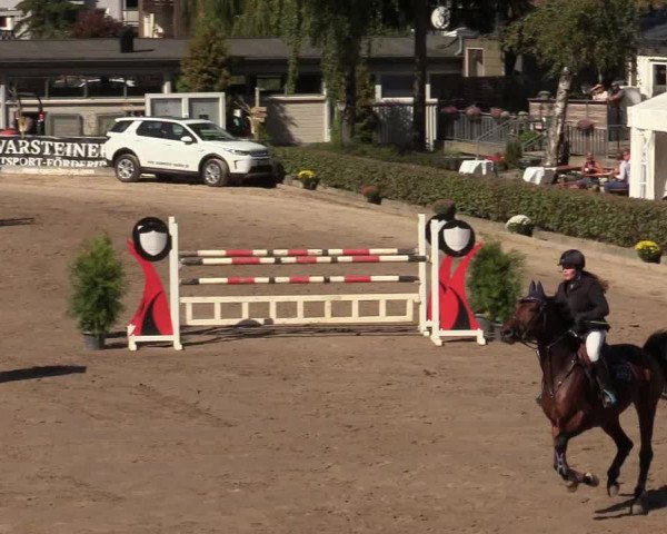 Reitturnier Siegen 2019