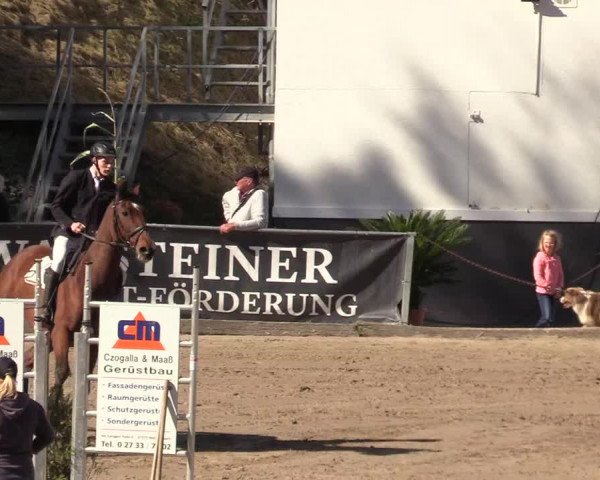Reitturnier Siegen 2019