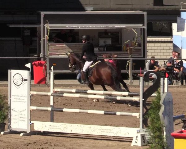 Reitturnier Siegen 2019