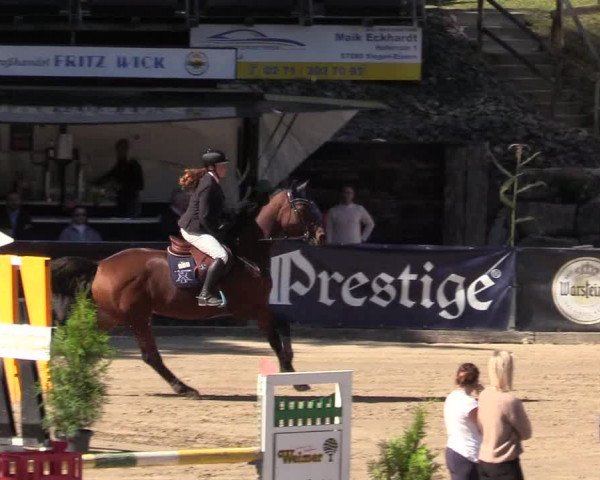 Reitturnier Siegen 2019