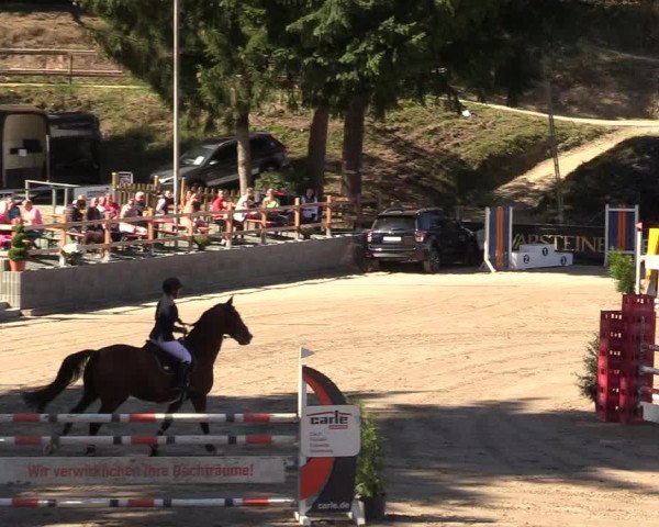 Reitturnier Siegen 2019