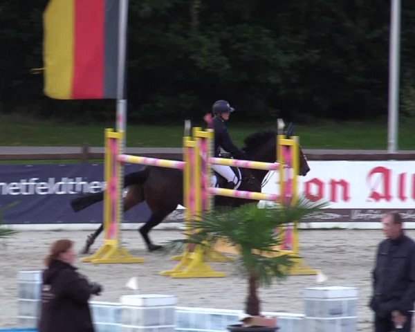 Reitturnier Westergellersen 2021