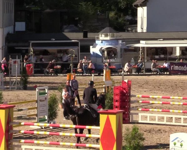 Reitturnier Siegen 2019