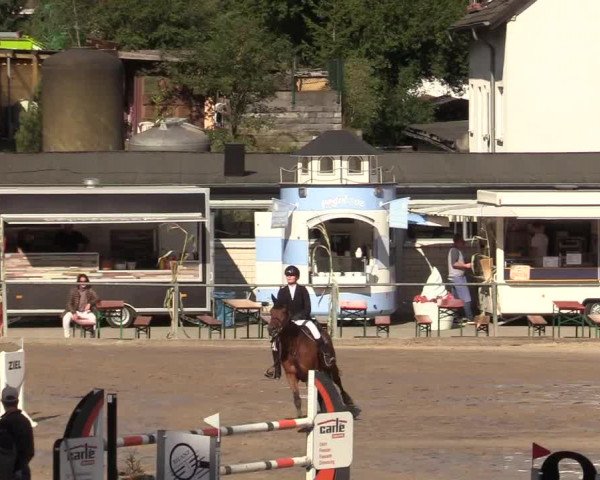 Reitturnier Siegen 2019