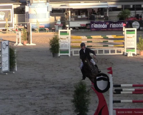 Reitturnier Siegen 2019