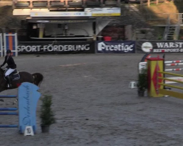Reitturnier Siegen 2019