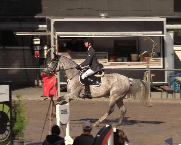 Reitturnier Siegen 2019