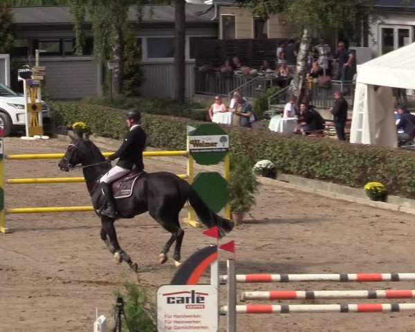 Reitturnier Siegen 2019