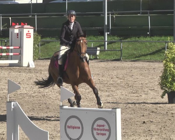 Reitturnier Pforzheim 2019