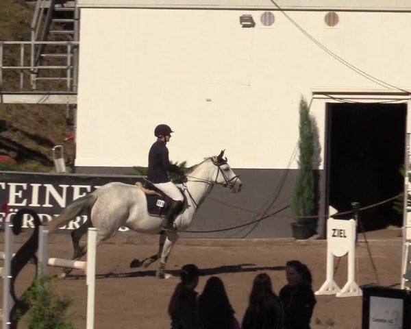 Reitturnier Siegen 2019