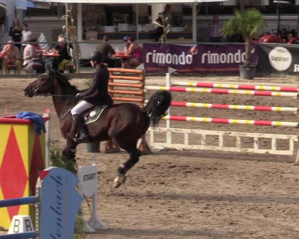 Reitturnier Siegen 2019