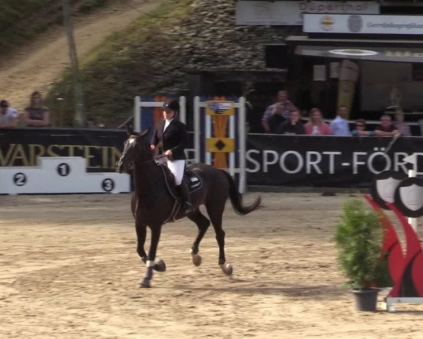 Reitturnier Siegen 2019