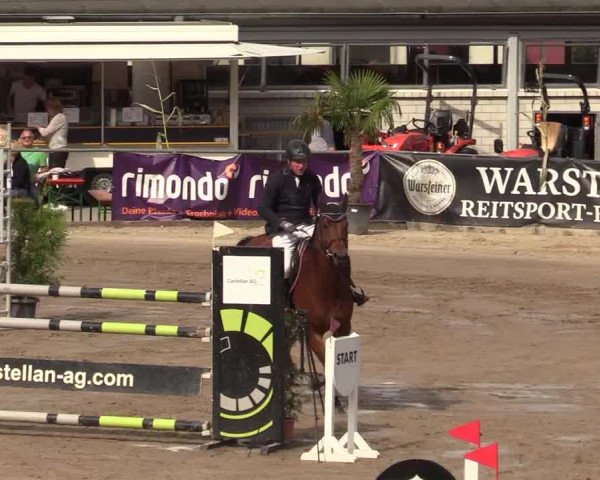 Reitturnier Siegen 2019