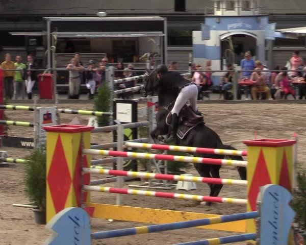 Reitturnier Siegen 2019