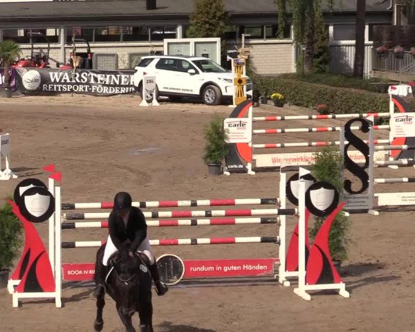 Reitturnier Siegen 2019