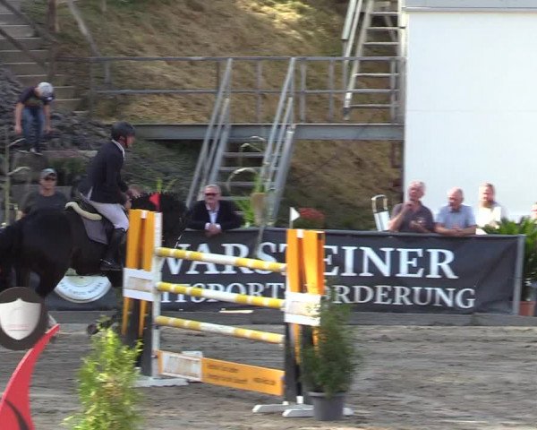 Reitturnier Siegen 2019