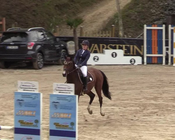 Reitturnier Siegen 2019