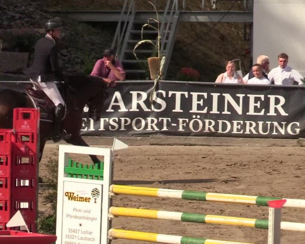 Reitturnier Siegen 2019
