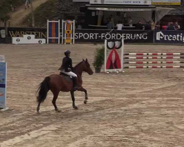Reitturnier Siegen 2019