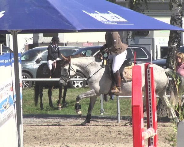 Reitturnier Pforzheim 2019