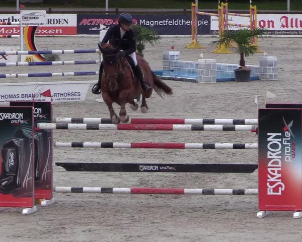Reitturnier Westergellersen 2021