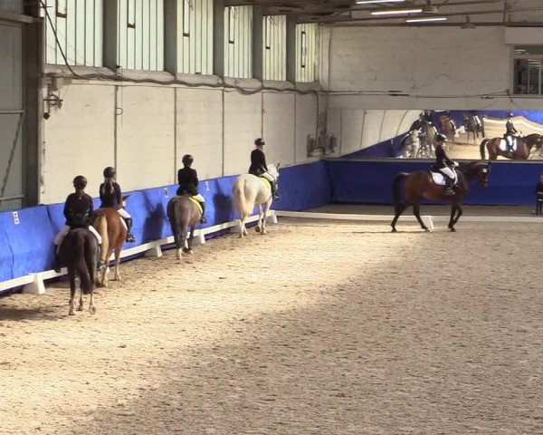 Reitturnier Pforzheim 2019