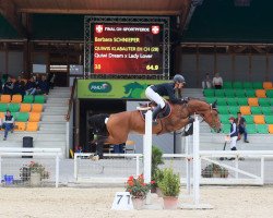 stallion Quiwis Klabauter Eh CH (Swiss Warmblood, 2017, from Quiwi Dream)