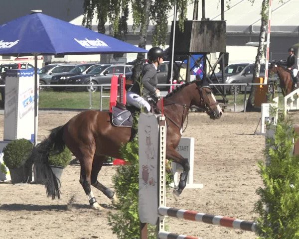 Reitturnier Pforzheim 2019