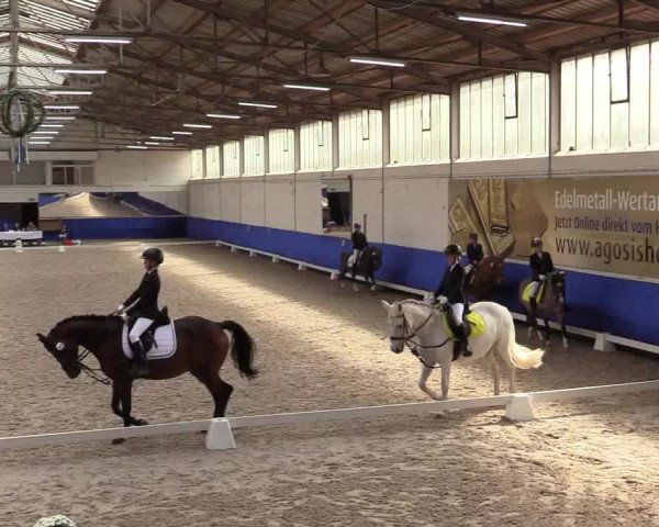 Reitturnier Pforzheim 2019