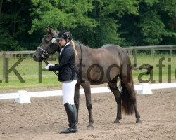 dressage horse Savannah 55 (Pony without race description, 2012, from Mighty Diamond)
